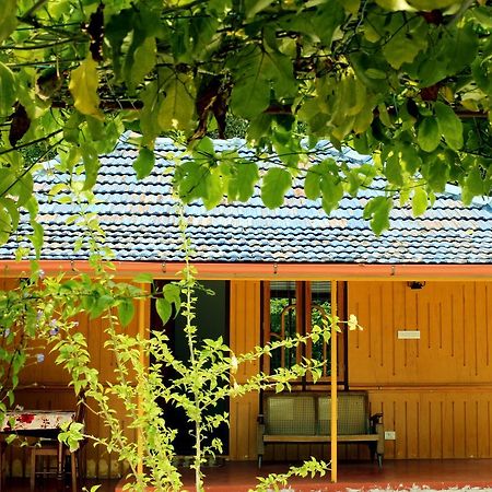 Marari Beach Pearl Homestay Mararikulam Exterior photo