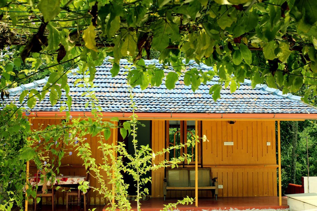 Marari Beach Pearl Homestay Mararikulam Exterior photo